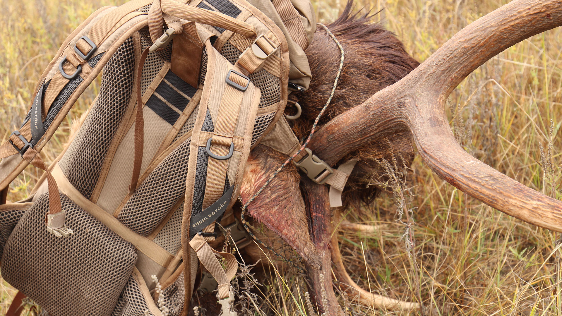 Frame packs outlet for elk hunting