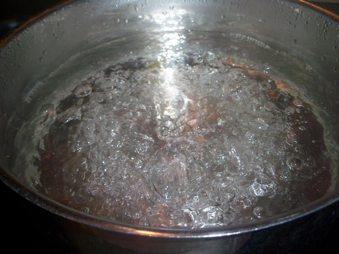 Does Boiling Water Purify It?