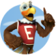 Eddie Eagle GunSafe® Program